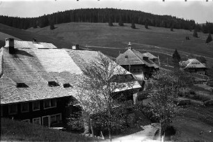 Todtnauberg: Schwarzwaldhäuser von oben
