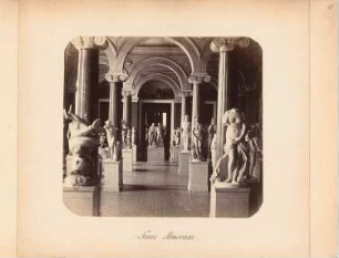 Neues Museum auf der Museumsinsel, Berlin: Antikensammlung