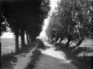 Finkenwerder, Altenwerder