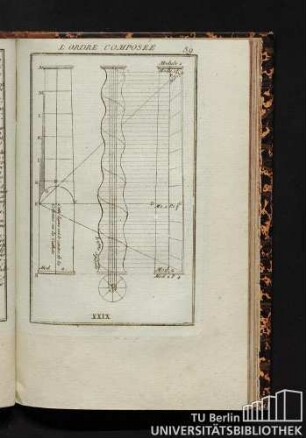 XXIX. L'Ordre Composée. Description de...