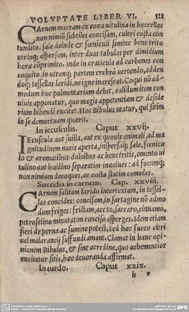 Succidia in carnem. Cap. XXVIII.