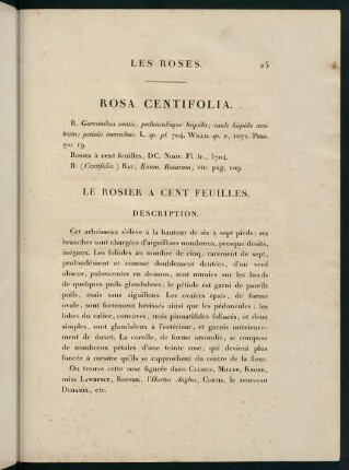 25-26, Rosa Centifolia. Le Rosier a Cent Feuilles.
