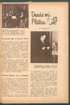 Desde mi platea