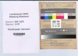 Entnazifizierung Hermann Dombrowski , geb. 01.02.1891 (Oberzollsekretaer)
