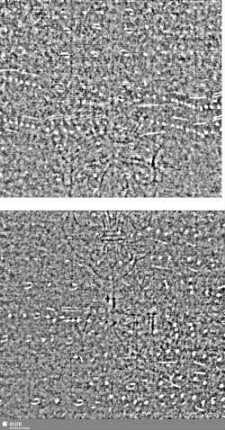 Lilienschild + IESV / LW = S.97/98+113/114