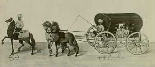 Türkei, Planwagen, zweispännig