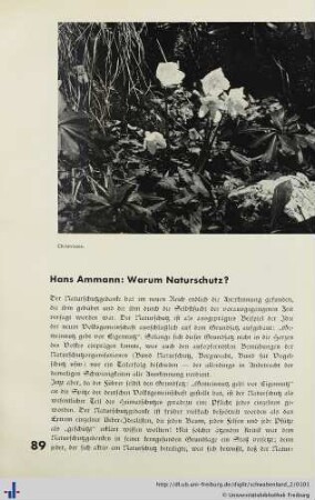 Warum Naturschutz?