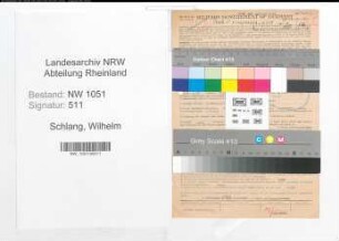 Entnazifizierung Wilhelm Schlang , geb. 05.07.1898 (Viehhaendler)