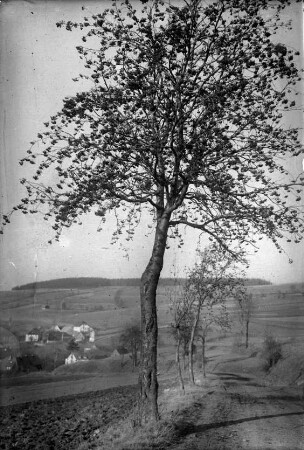 An der alten Schmalzgrubner Straße - Blick zum Berg-Gut