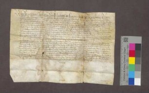 Lehnbrief des Basler Domkapitels als Kirchherrn zu Kirchhofen für Andris Matmüller zu Ehrenstetten über eine Matte.