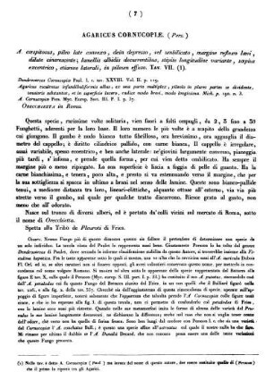 Agaricus Cornucopiæ (Pers.)