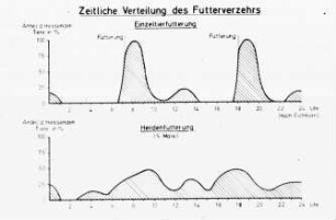 Zeitliche Verteilung des Futterverzehrs - Einzeltierfütterung (nach Eichhorn) - Herdenfütterung