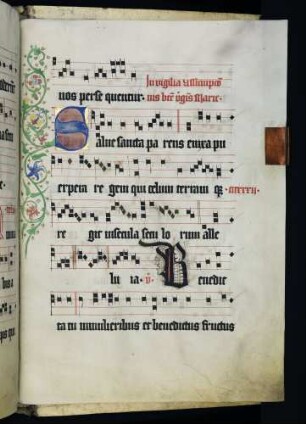 Zierinitiale: S(alve sancta parens); Kadelle