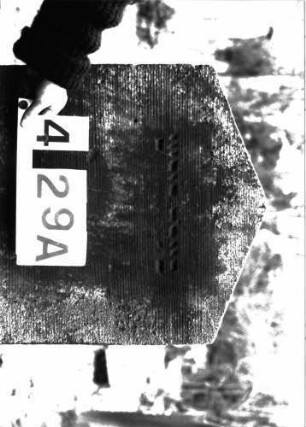Grabstein A I/4/29A