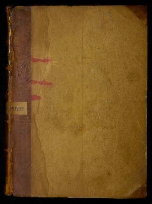 Antonius de Rampegollis. De translatione Vicelini. Evangeliar. De inclito Adolpho comite Holzatiae. Albertus Stadensis