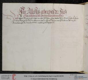 Rezept gegen geschwollene Schenkel