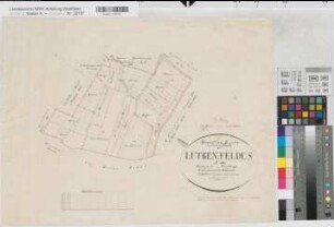 Nienberge (Münster), Teilung des Lütkenfeldes, Brouillonkarte