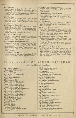 Vorstehendes Pflaumen-Sortiment
