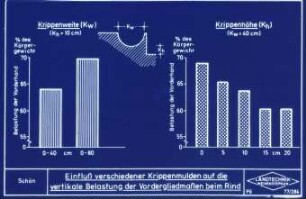 Einfluß verschiedener Krippenmulden auf die vertikale Belastung der Vordergliedmaßen beim Rind