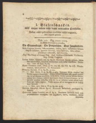 1. Blasenschnecken, nebst einigen andern nahe damit verwandten Conchylien.