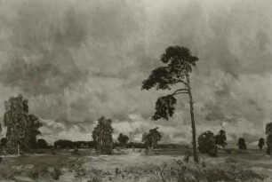 Dresdner Heide