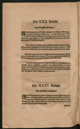 Der XXXI. Artickel.