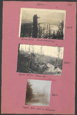 Vogesen 1916 - Blick ins Münstertal