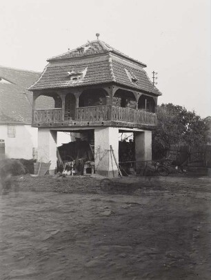 Wallendorf (Luppe), Taubenhaus eines Gehöfts