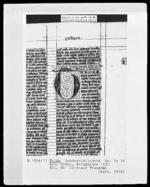 Lateinische Bibel — Initiale T (andem), Folio 80recto