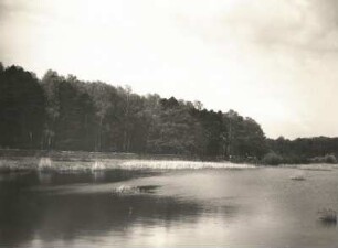 Moritzburger Teichgebiet. Grossteich bei Moritzburg (Nähe Waldschänke)