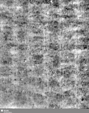 Lilienschild + IESV / LW = S.1/2