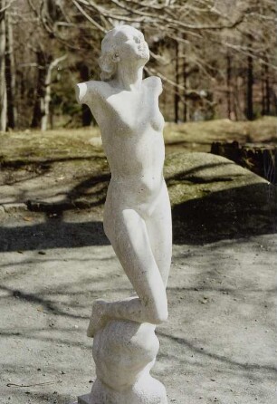 Weiblicher Torso