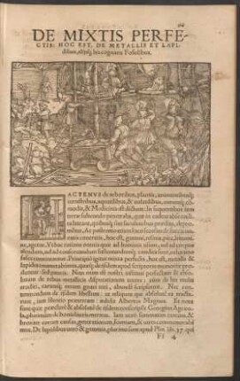 De Mixtis Perfectis: Hoc Est, De Metallis Et Lapidibus, aliisque his cognatis Fossilibus.