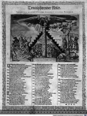 Triumphirender Adler : Sub Umbra Alarum Mearum Florebit Regnum Bohemiae
