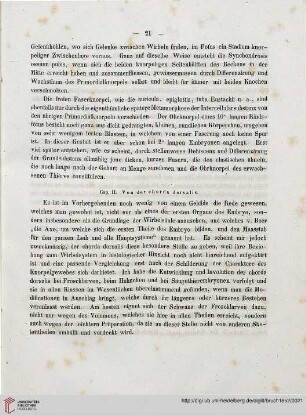 Cap. II: Von der chorda dorsalis