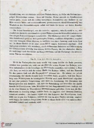 Cap. II: Von der chorda dorsalis