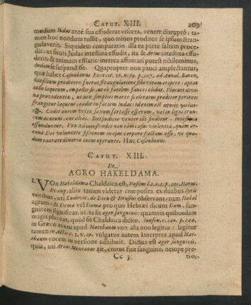 Caput XIII. De Agro Hakeldama.