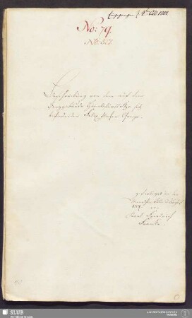 Beschreibung von dem auf dem Berggebäude Him̄elsfürst Fdgr. sich befindenden Felix flachen Gange - 17.6419 4.