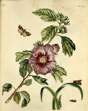 102