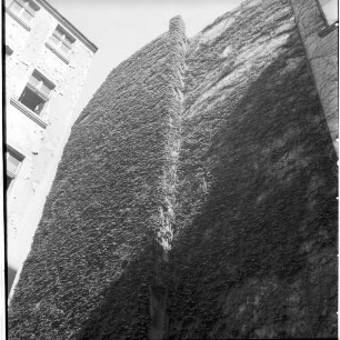 Negativ: Ruine, Luitpoldstraße 31, 1952