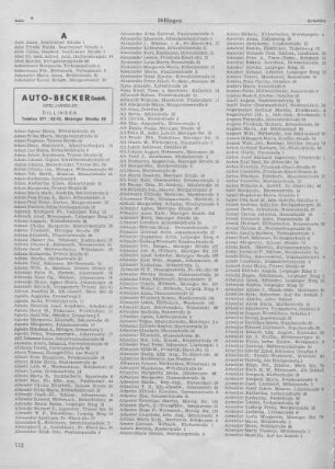 Alphabetisches Einwohnerverzeichnis der Stadt Dillingen