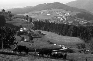 Blick von Eck auf Bohrer, Horben und Freiburg