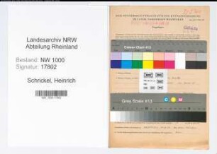 Entnazifizierung Heinrich Schrickel, geb. 24.12.1907 (Vertreter)