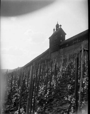 Esslingen: Weinberg mit Wehrmauer von der Seite
