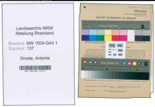 Entnazifizierung Antonie Droste , geb. 28.03.1901 ()