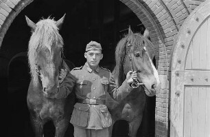 Zweiter Weltkrieg. Niederlande unter deutscher Besatzung. Wehrmachtsangehöriger, zwei Pferde am Zügel aus dem Stall führend (wohl bei Den Haag)