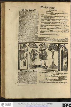 In hac scena sexta allocutio est per conquestionem et bene non se amatoribus modo, sed infoelicibus amatoribus comparavit...