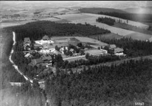 Falkenhain (b. Glashütte), Wald-Idylle