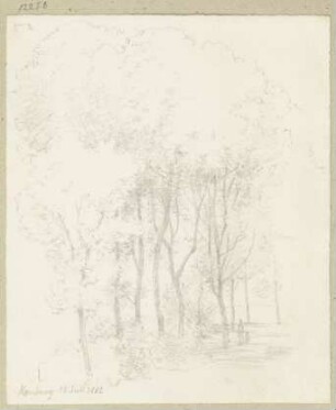 Allee in Bad Homburg