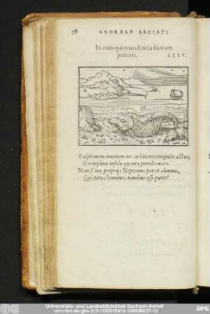 In eum qui truculentia suorum perierit. LXXV.